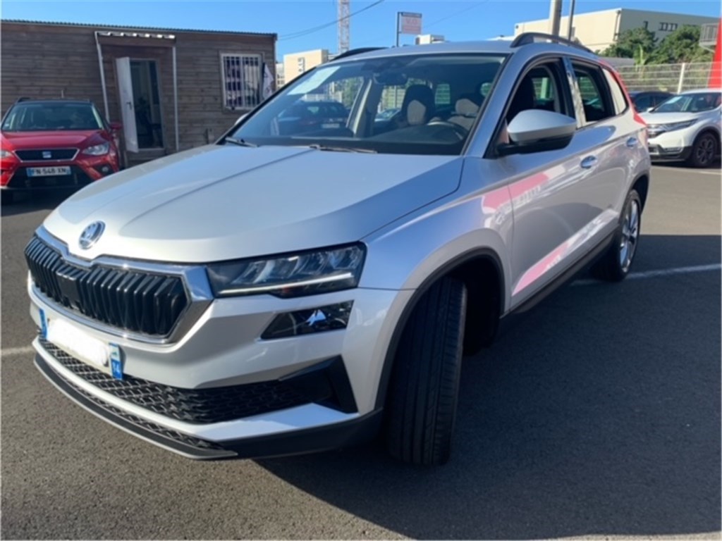 Skoda KAROQ (01/2022)