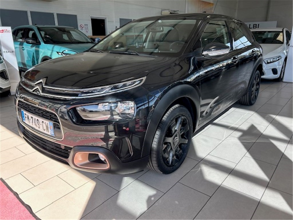 C4 CACTUS